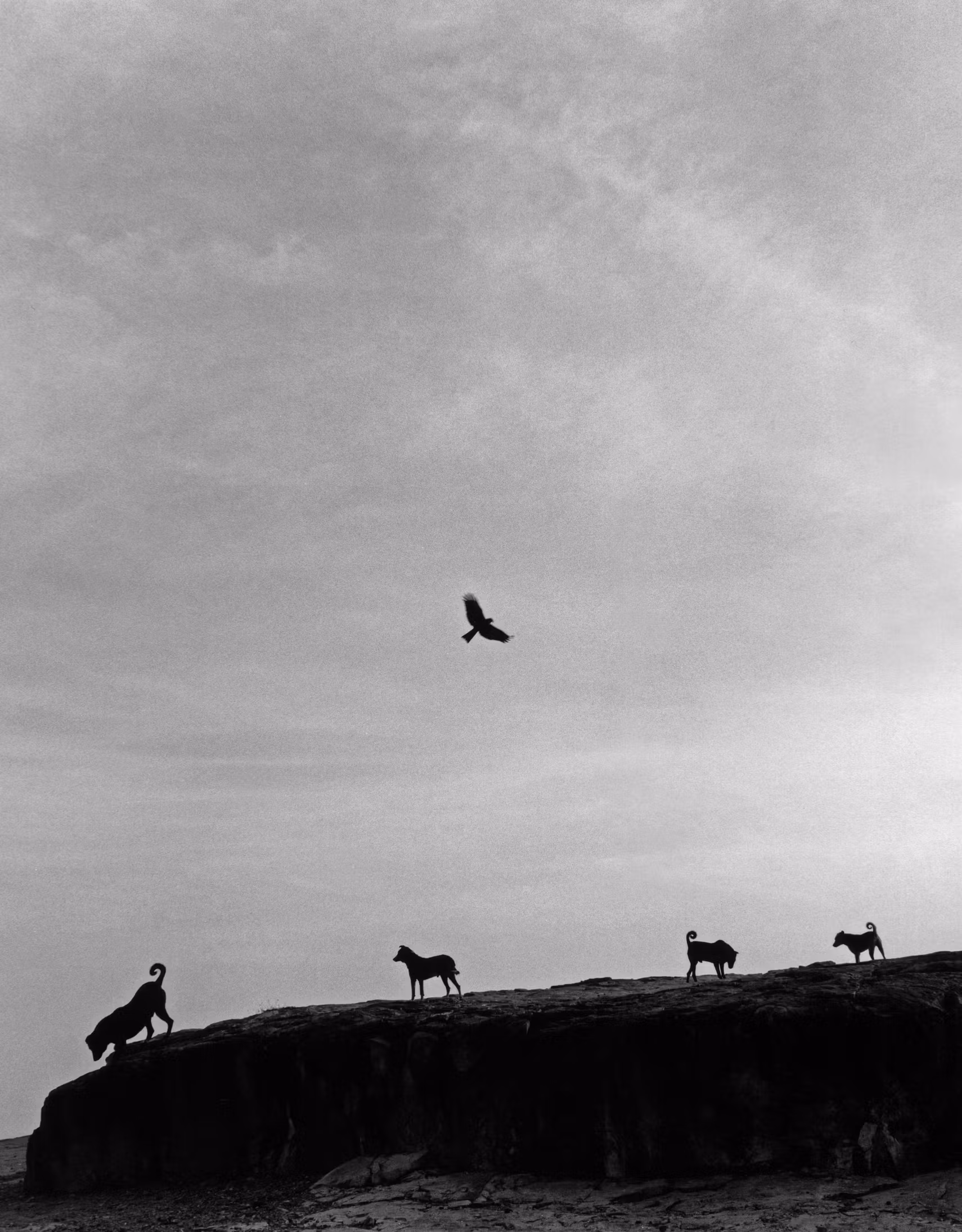 An Exploration of Mexico Through the Lens of Graciela Iturbide – 1